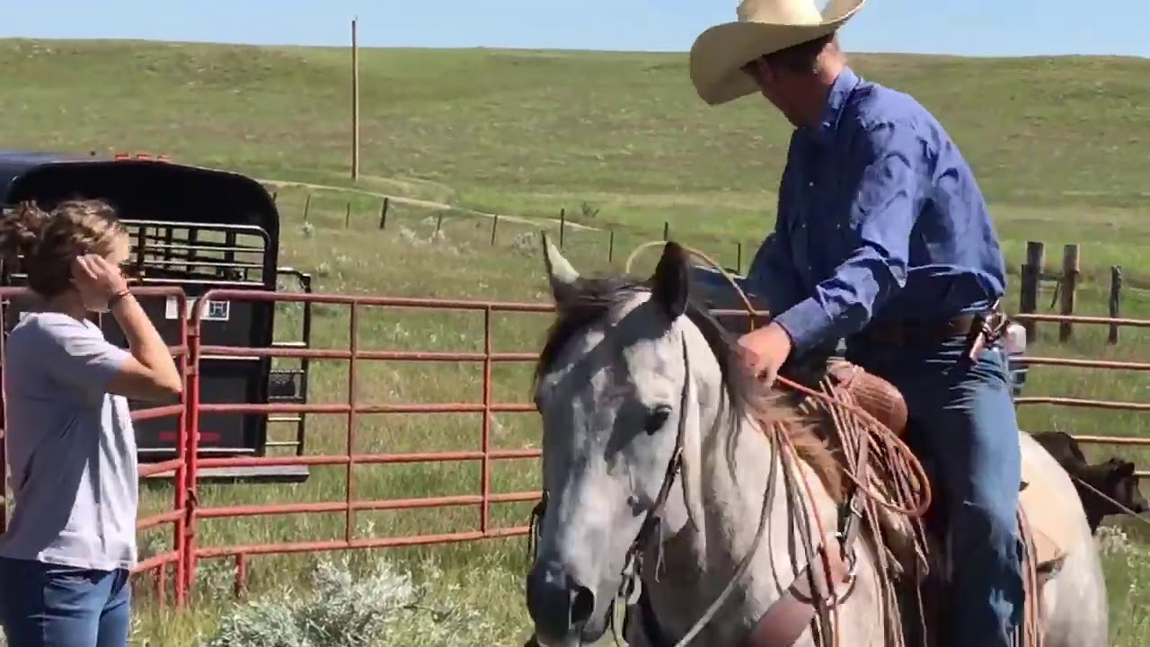 Poco Roan Parr Piece