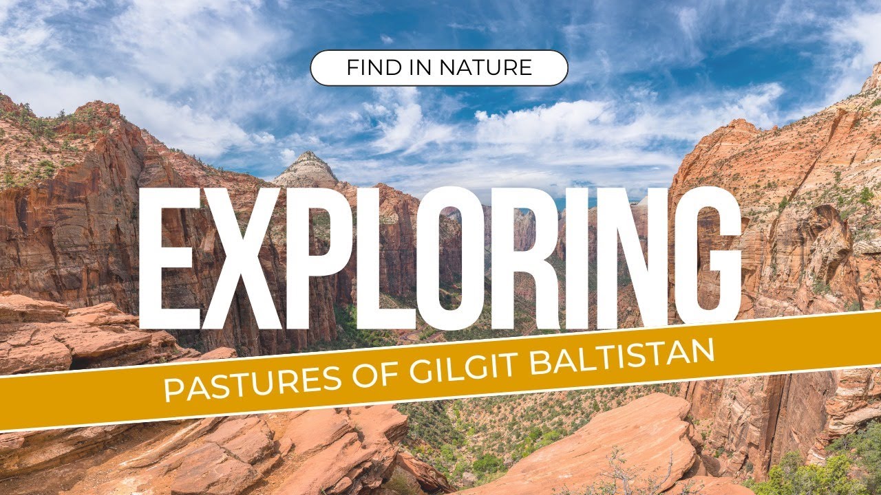 Adventure Seekers: Explore & Discover