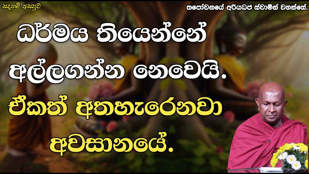 ධර්මය තියෙන්නේ අල්ලගන්න නෙවෙයි. ඒකත් අතහැරෙනවා අවසානයේ.509පූජ්‍ය තපෝවනයේ අරියධජ හිමි