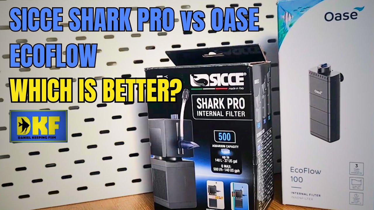 Сравнение SICCE SHARK PRO и OASE ECO FLOW