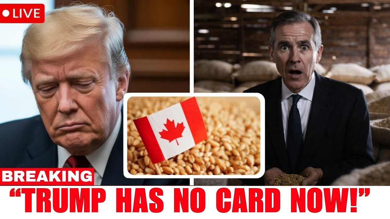 JUST IN: Canada's Quiet Grain Move Just Cut the U.S. Out of $780 BILLION!
