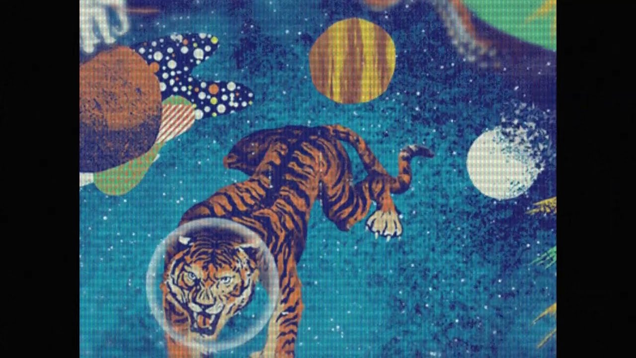Wzór - Zoo