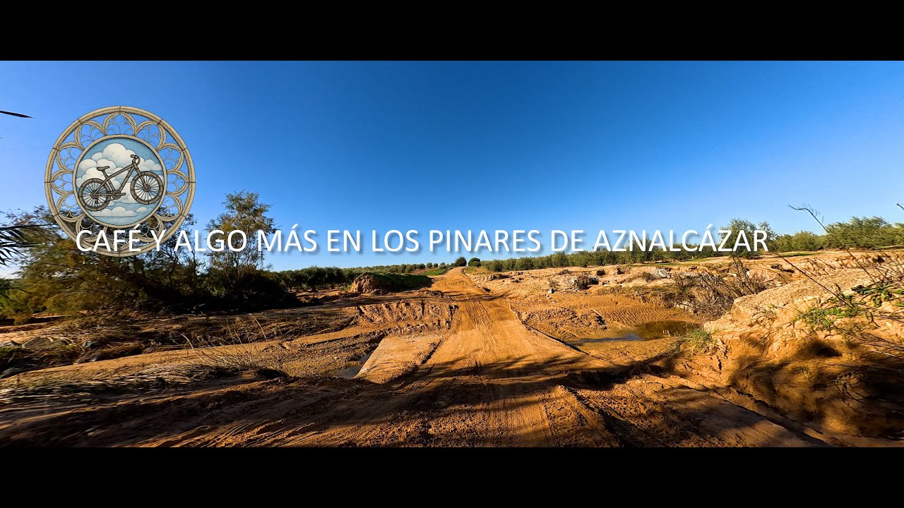 Café y algo más en los pinares de Aznalcázar. Parte I.