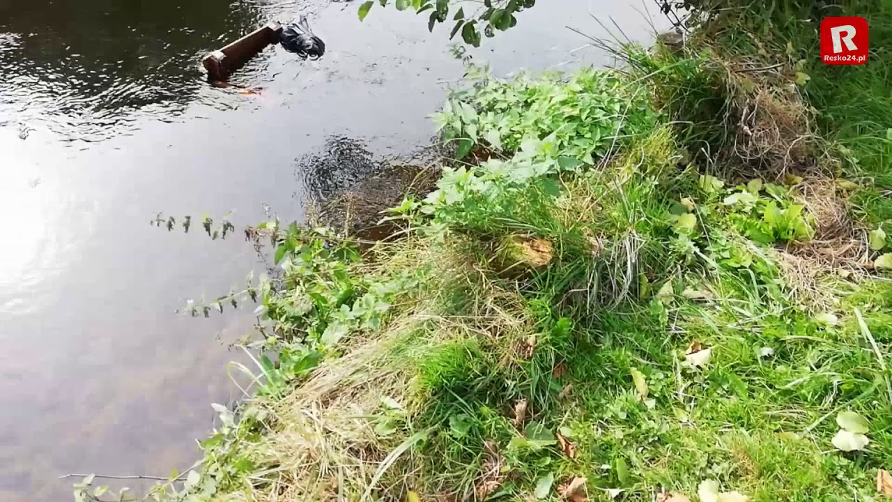 RESKO. Demolka na promenadzie! Wszystko w oku kamer monitoringu miejskiego