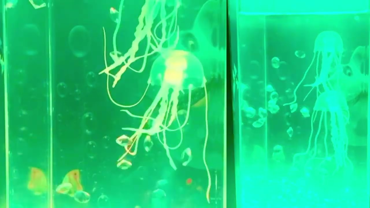 Fall asleep with JINX Jellyfish Lamps. 