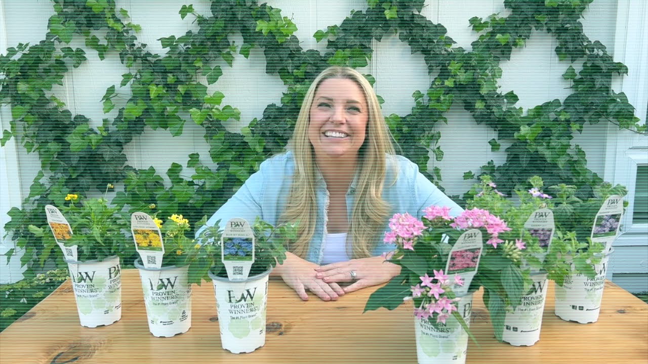 6 Heat-Tolerant Annuals to Beat the Summer Heat | Proven Winners with Janey