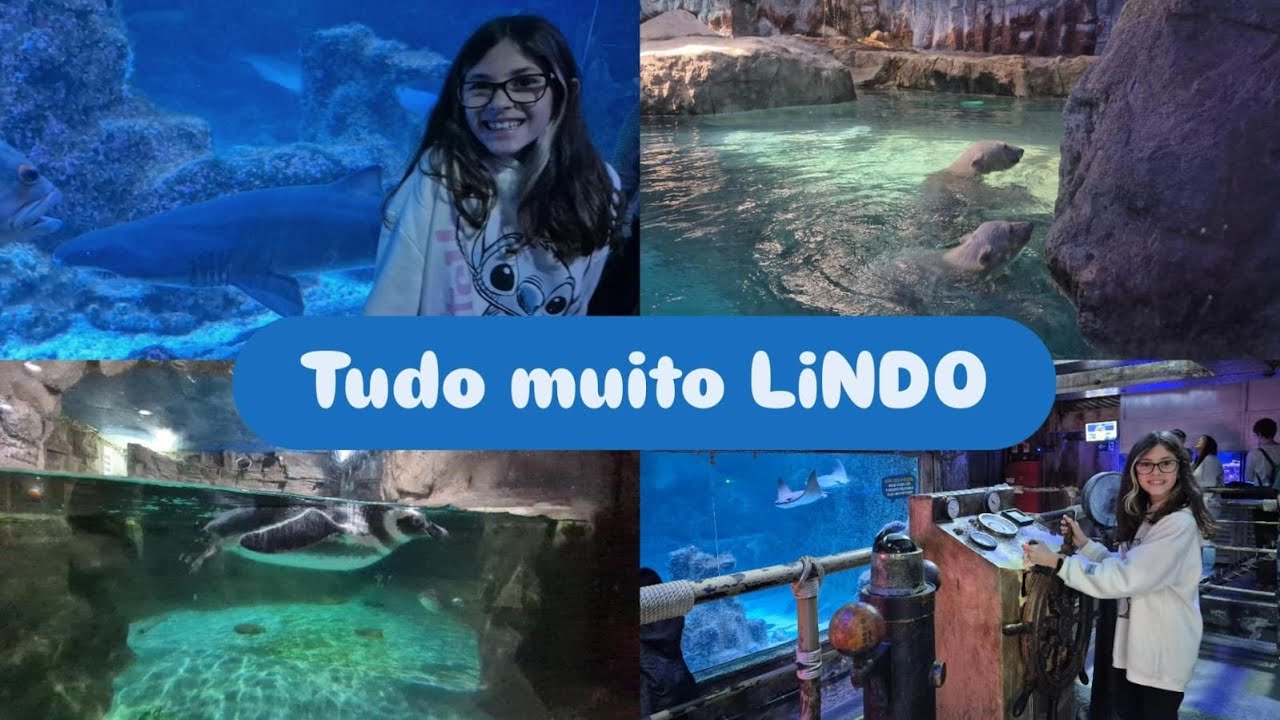 Fomos no Aquário de São Paulo / Conhecemos a NUR - Primeira Ursa Polar nascida no Brasil e mais