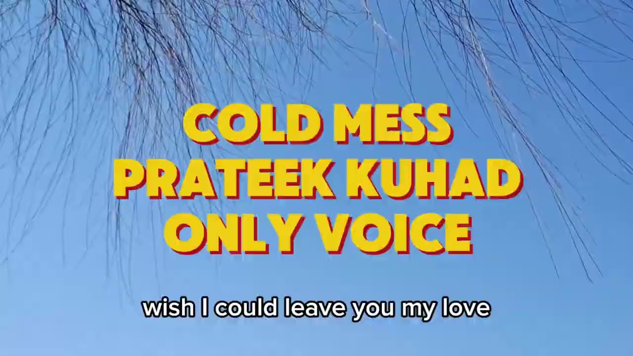 Cold/Mess (Voice Only) | Prateek Kuhad | Acapella Cover | Indian Indie