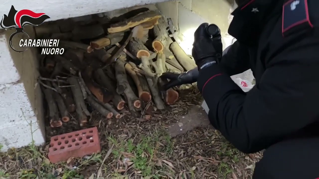 Siniscola. Arrestato dai Carabinieri  presunto autore rapina al supermarket di La Caletta 22 04 24