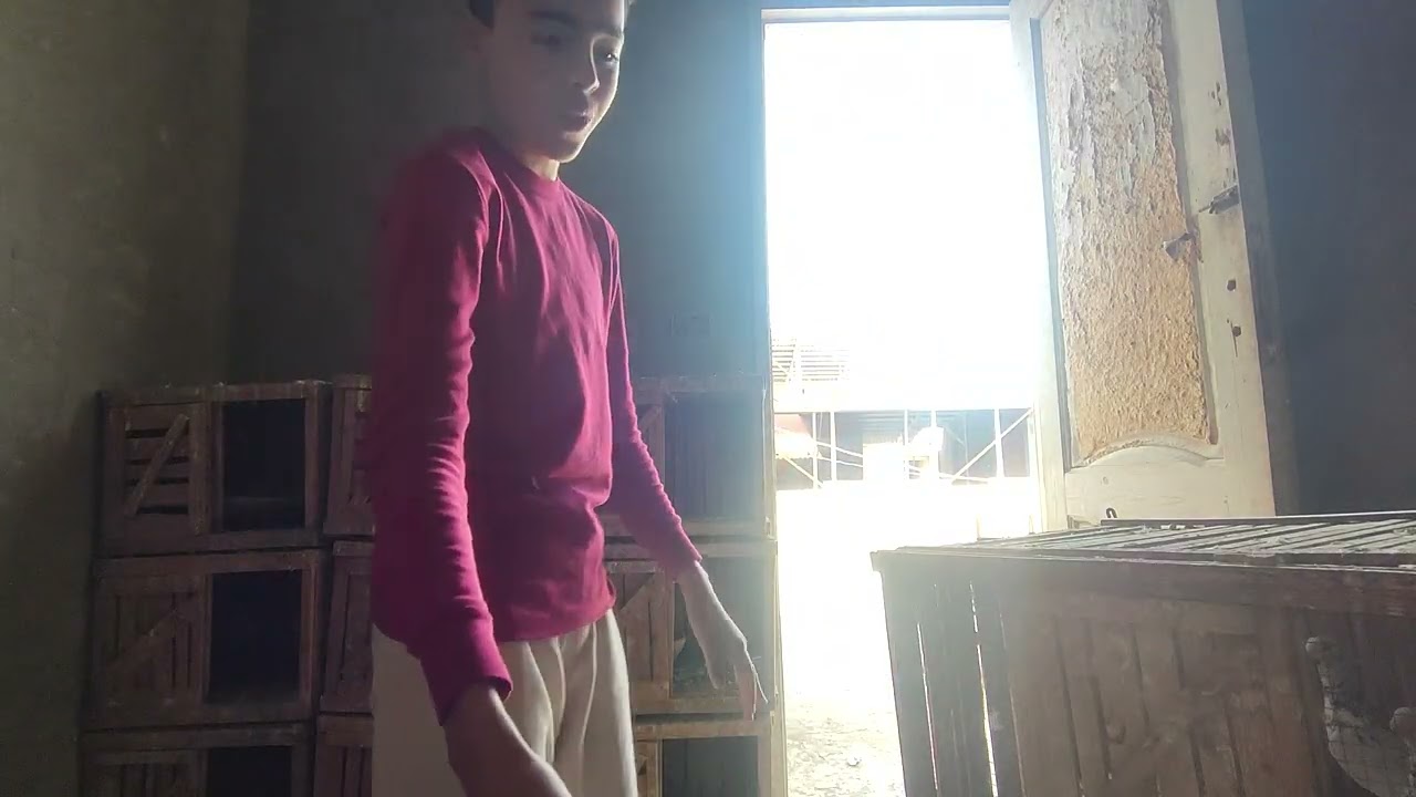 Part1 