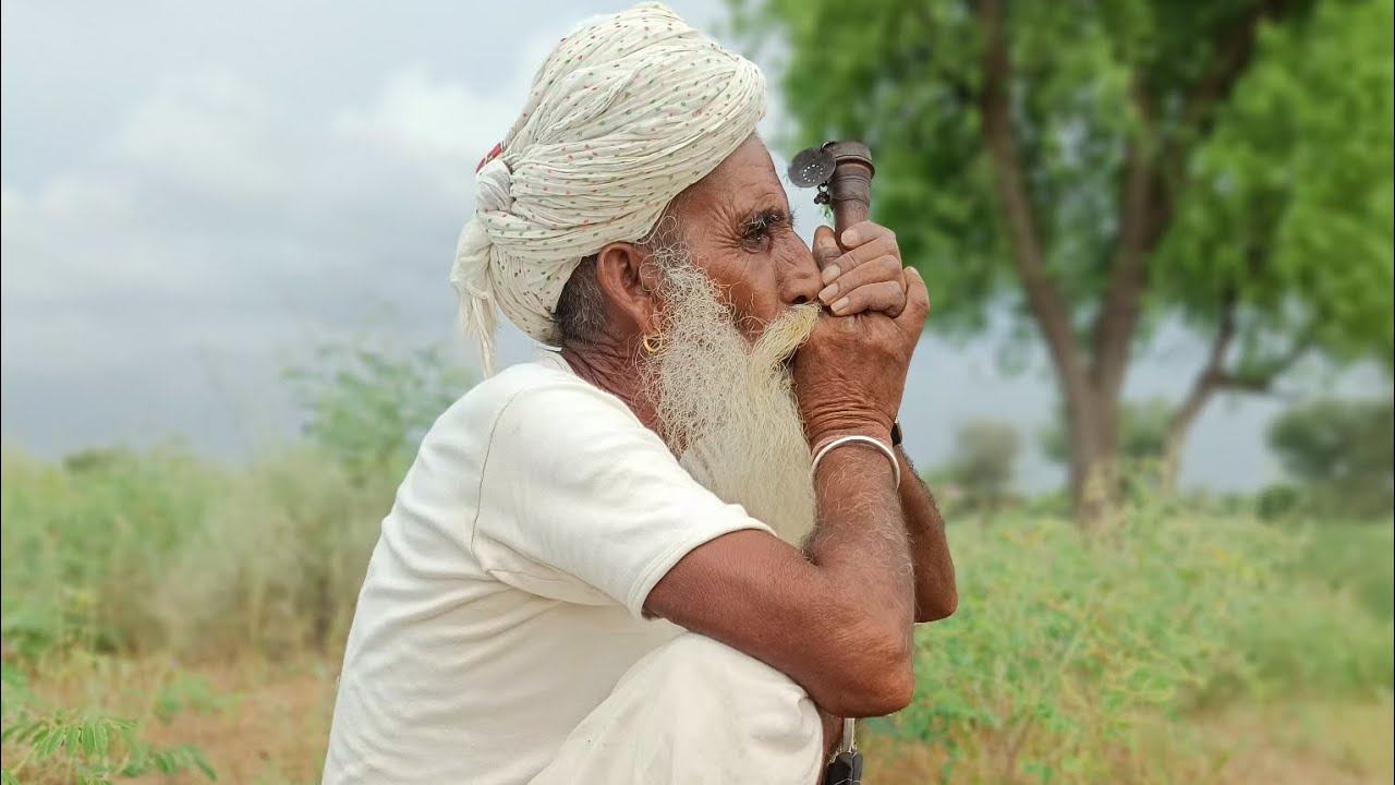 मारवाड़ में बारिश के मौसम के रंग भरे नजारे । खेतों की हरियाली और देसी लाइफ । देखिए पूरा  वीडियो 👇