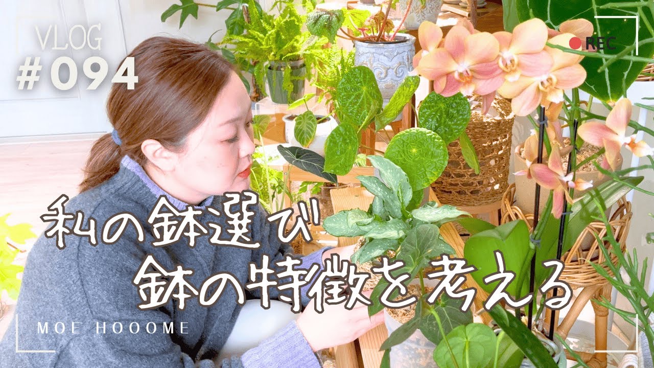 【鉢】私の鉢の使い方（Vlog/094）