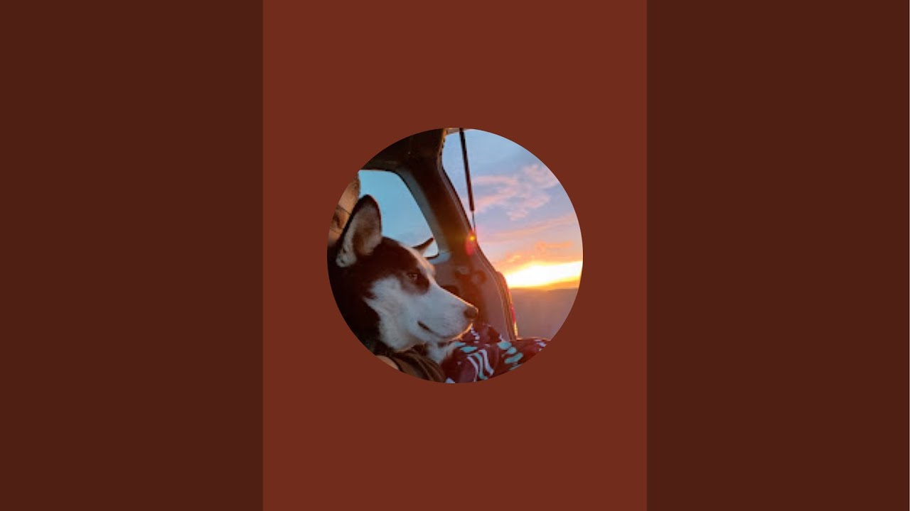 Coffee Chat #livestream #tentlife #doglife #struggle 