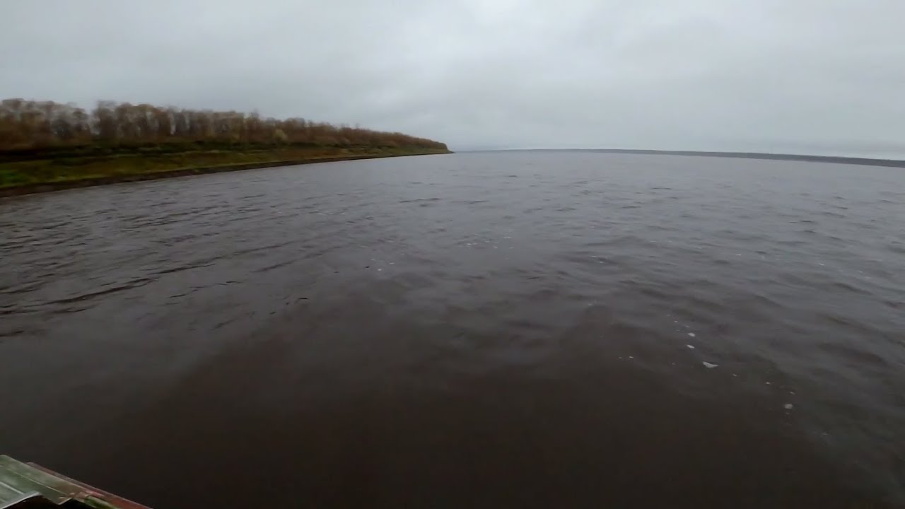 Рыбалка на реке Енисей. Ловля неводом ряпушку.