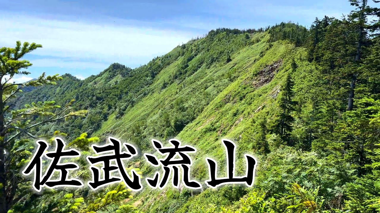 【登山】佐武流山　ドロノキ平登山口から往復　2025年7月中旬