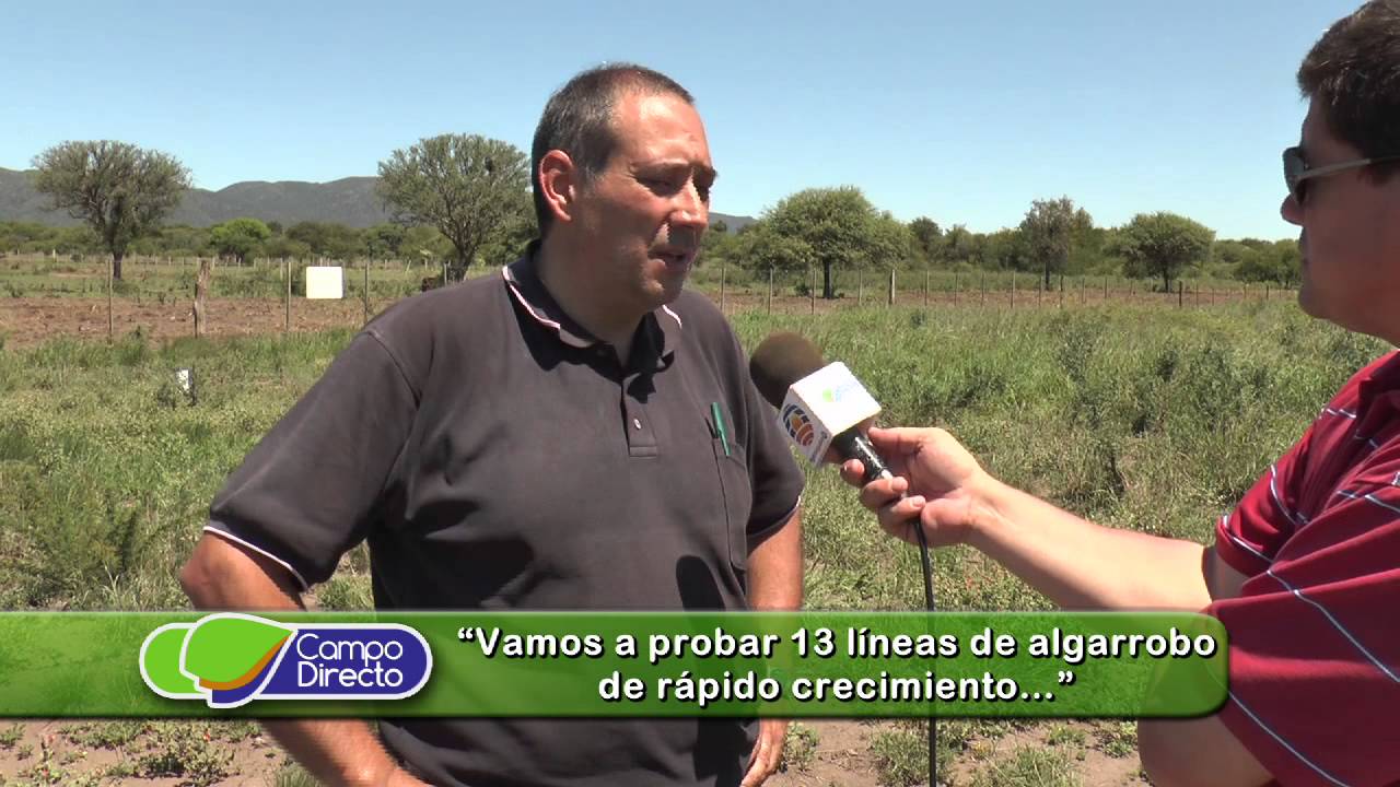 INTA: Plantación de Algarrobos en Deán Funes