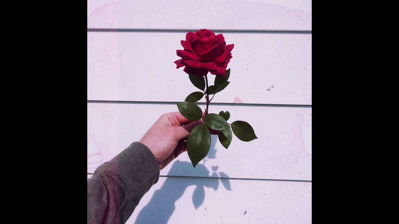 Summer Walker Acoustic Type Beat - 