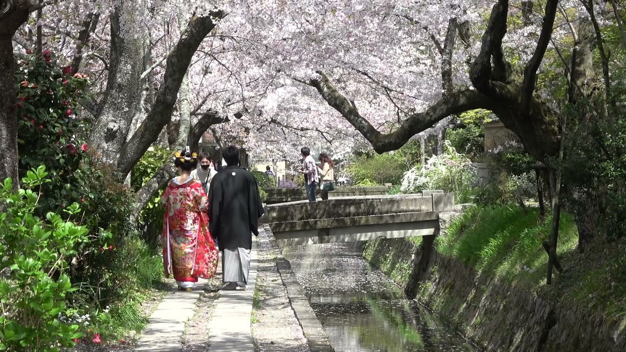 Walking the Philosopher's Path in Kyoto
