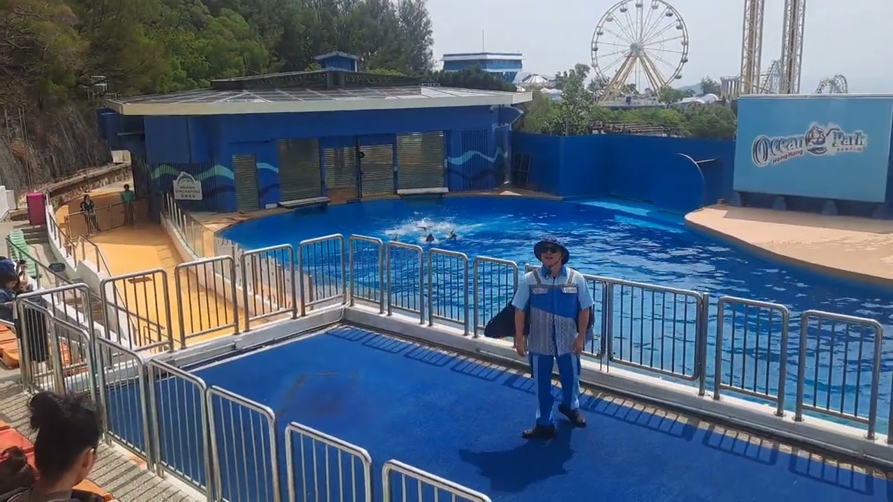 Dolphins explorations ep1 ocean park hk