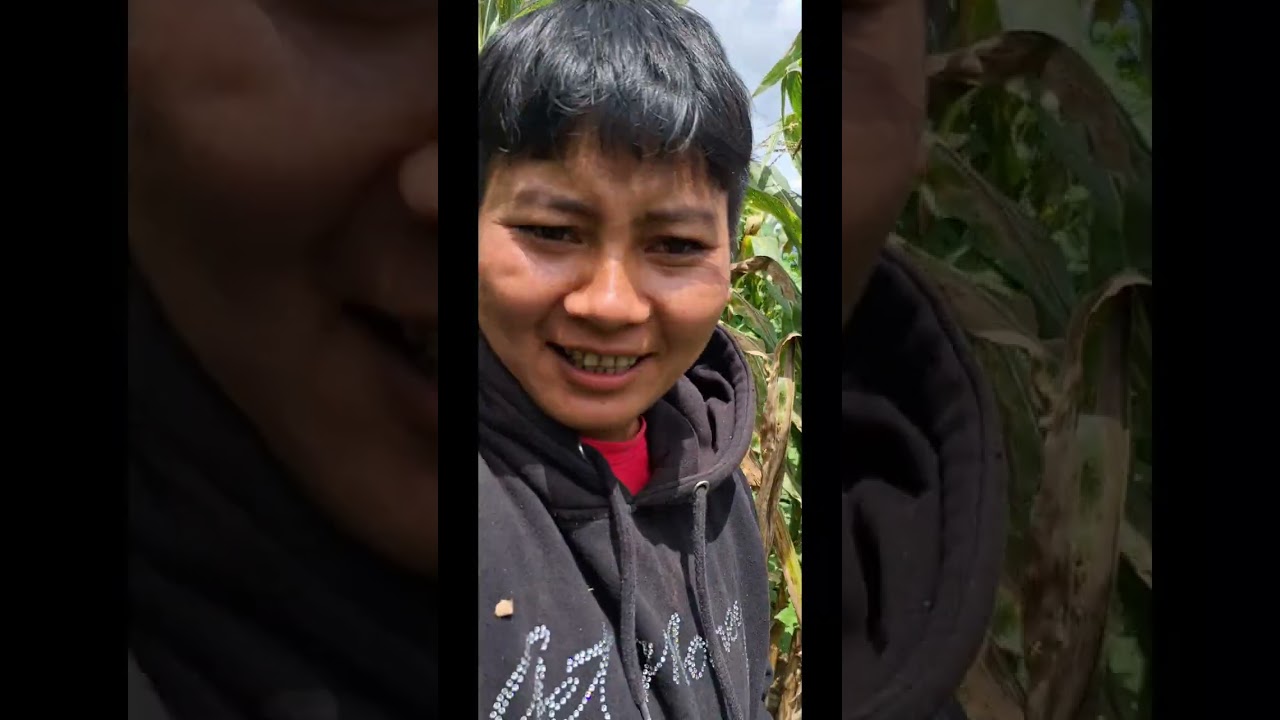 Thinglhang gam|🥒Changmai th 🎃Mainou po kache nao anave uvo