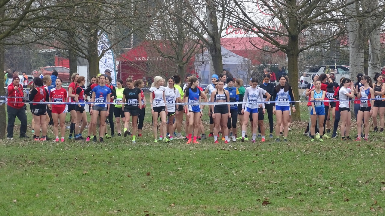 SettimoVd1 3 2026 01