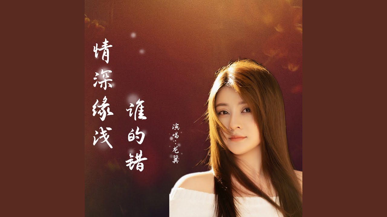 情深缘浅谁的错DJ