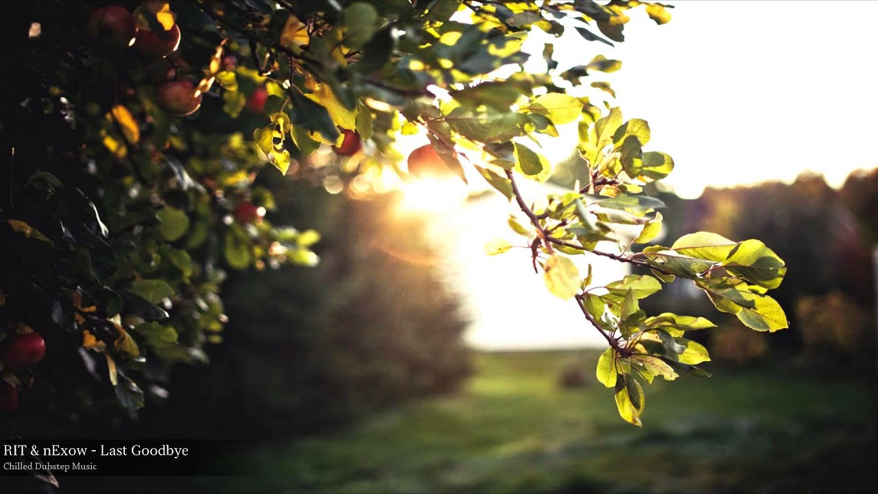 RIT & nExow - Last Goodbye