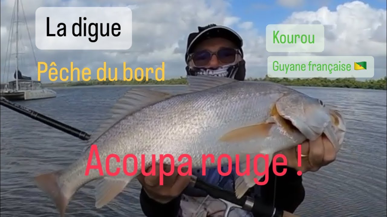 Pêche en Guyane  Acoupa,pêche du bord 🤙🏻🎣🇬🇫