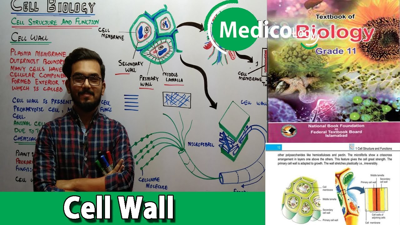Cell Wall || Cell Biology || Federal Board Biology XI