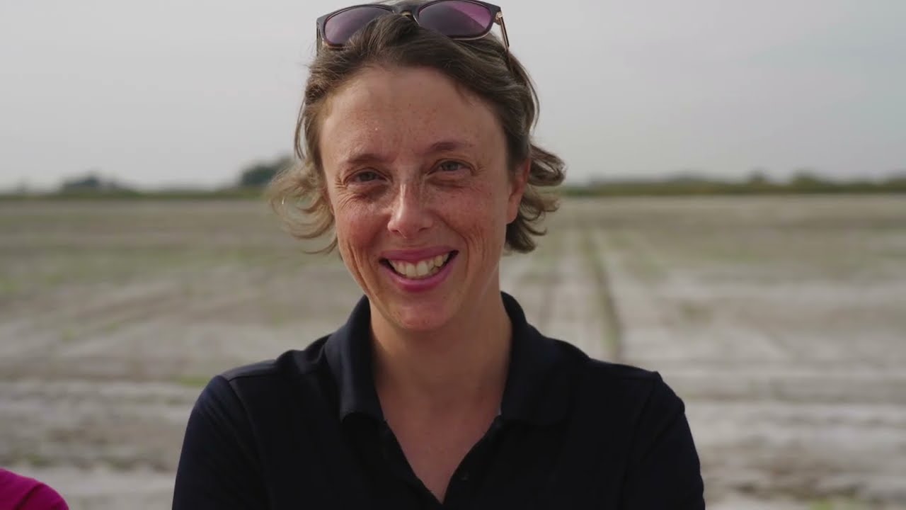 Réalisation d'un profil de sol agropédologique - Étude de cas sur la nature et la santé des sols