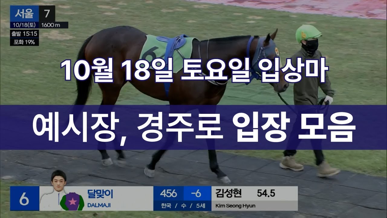 10월 18일 토요일 입상마 예시장, 경주로 입장 모음