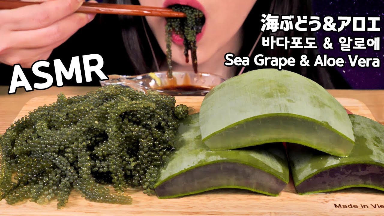 ASMR Sea Grapes Aloe Vera 바다포도 알로에 리얼사운드 먹방 Crunchy Slimy EATING SOUNDS NO TALKING KOREAN MUKBANG