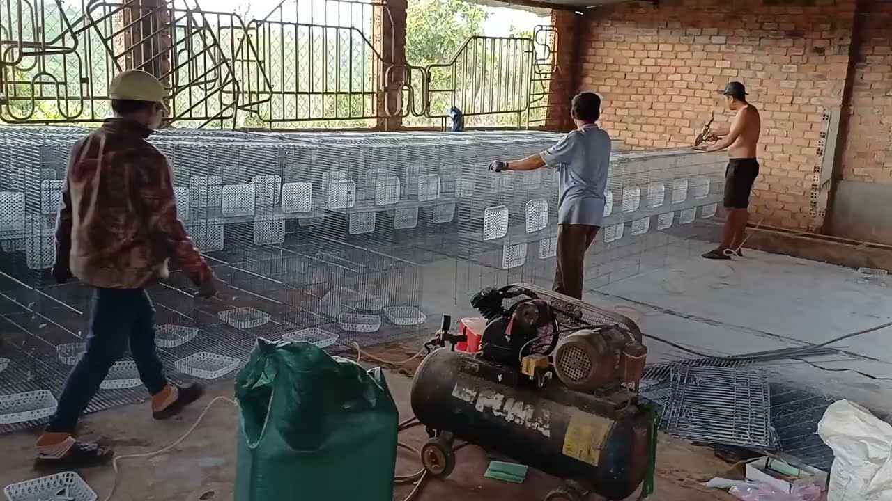 Ráp Trại bồ câu titan thái trên núi rừng cafê Lâm Đồng. Trại Thế phong 0978455670.