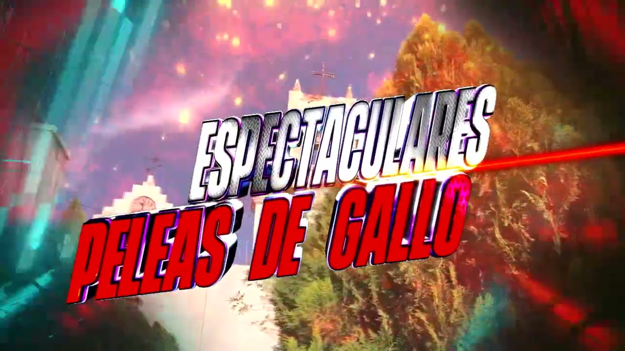 Video spot para Burgos, Tamailipas Febrero 2026