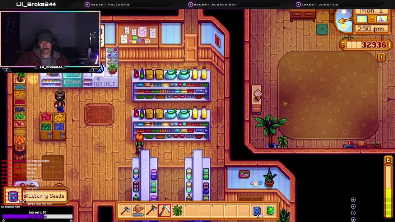 Stardew but i get a wife