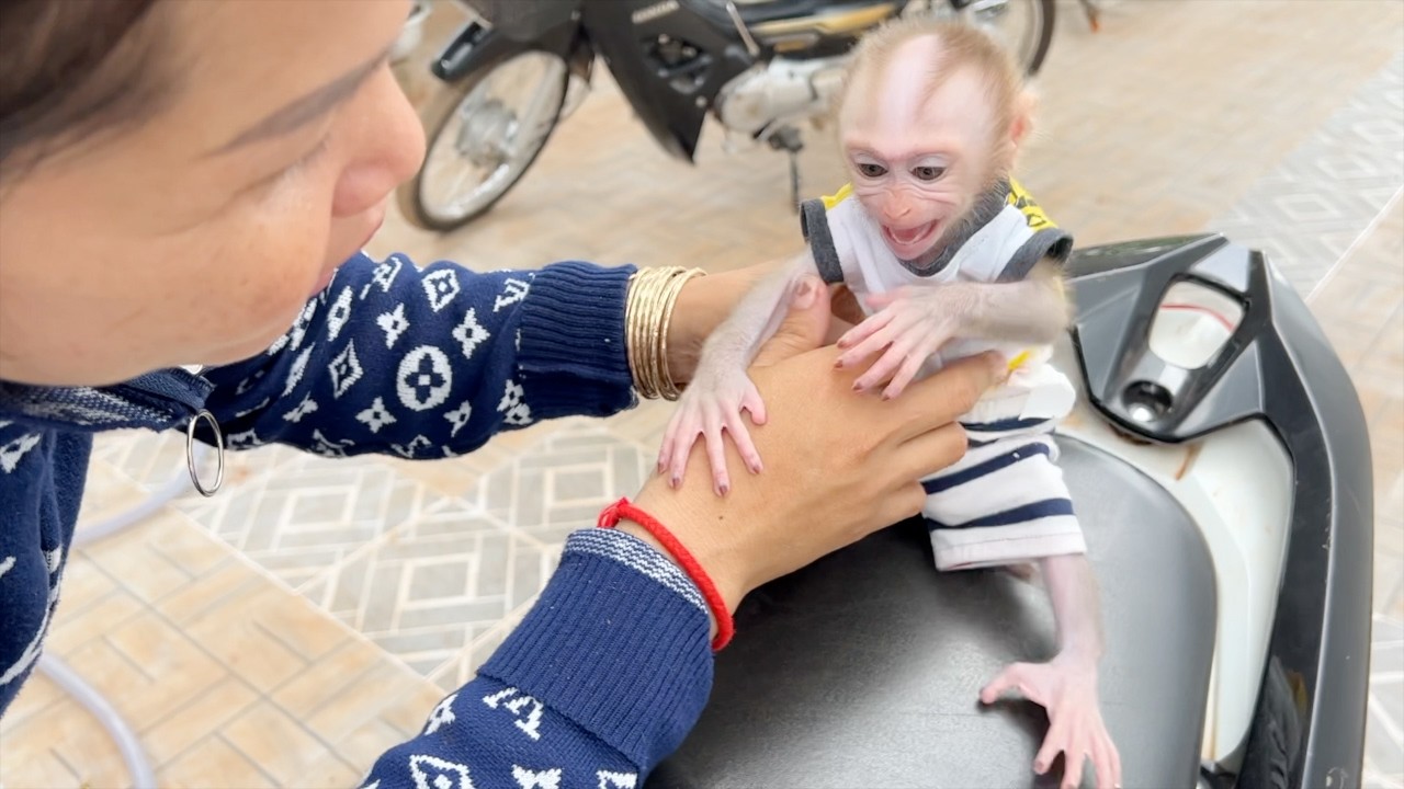 Baby Tauch Very Nervous To Ride Motor Accompany To Store