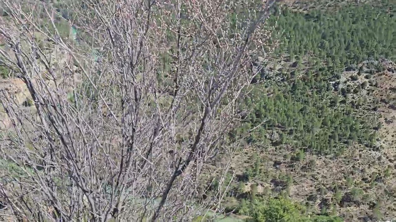 El Tajo desde el Mirador de Zaorejas