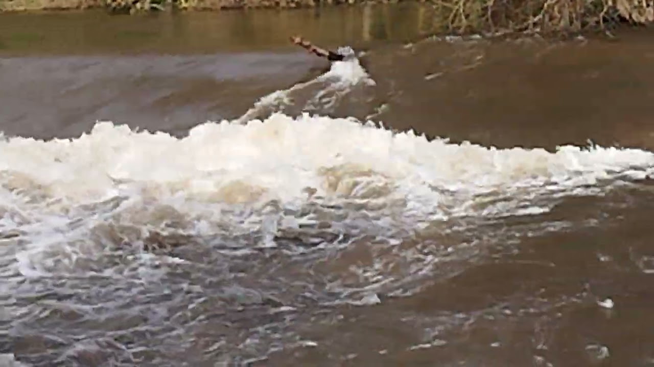 El Cabe al límite en el Club Fluvial de Monforte (5 de febrero de 2026).