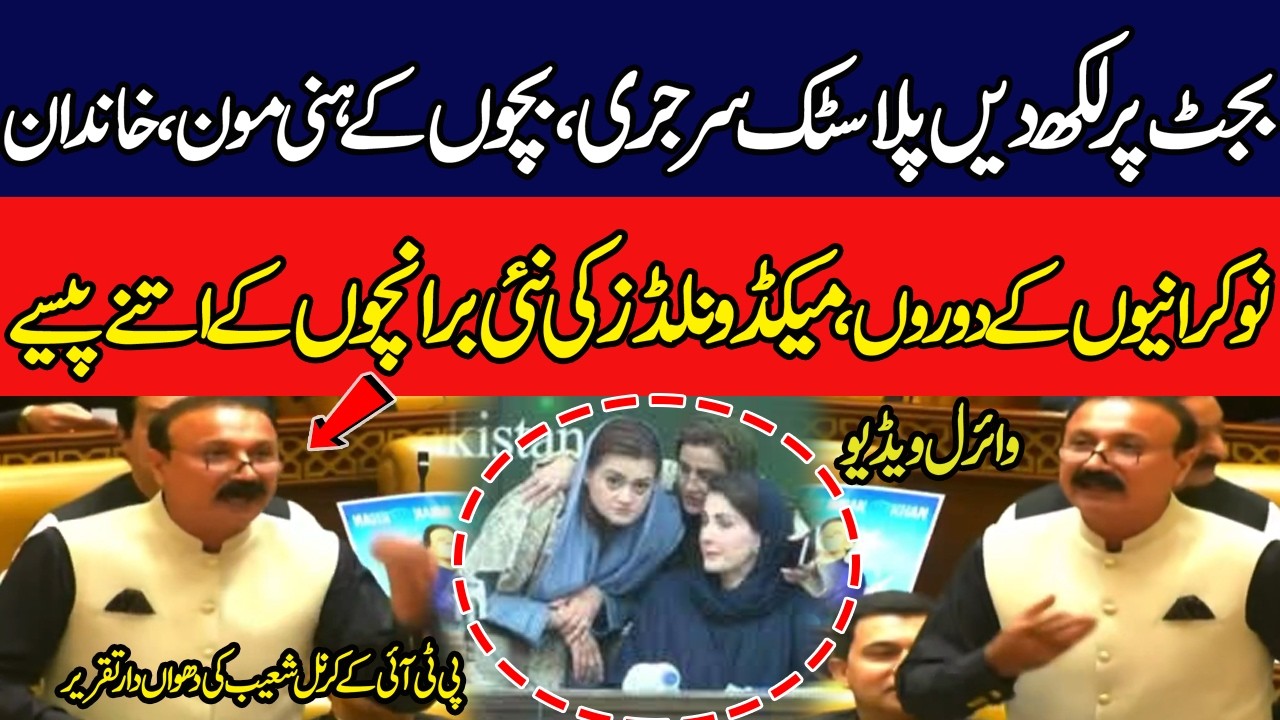 PTI Col (R) Shoaib Ameer VS Maryam Nawaz Punjab Assembly Fiery Speech | Budget For plastic Surgery