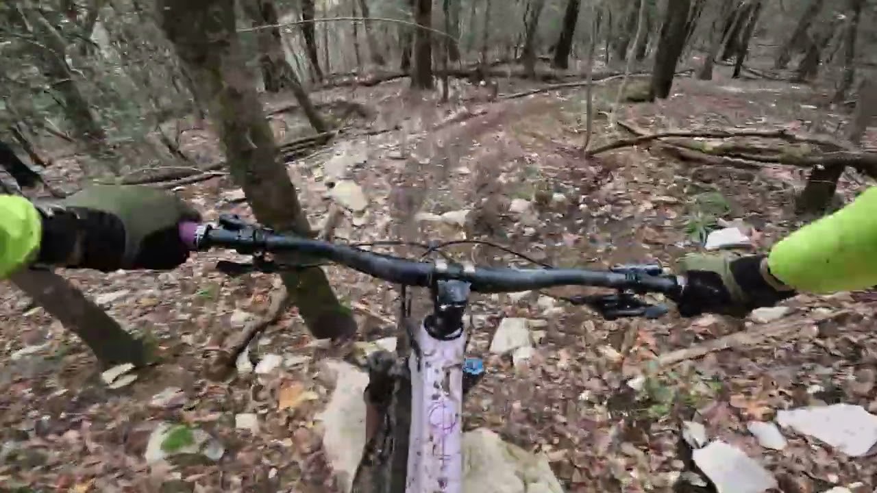LUPO GRIGIO MONTE MORELLO MTB RAW