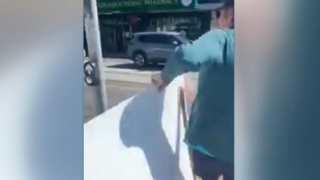 ‘Grubby behaviour’: Teal MP Monique Ryan’s husband steals LNP poster