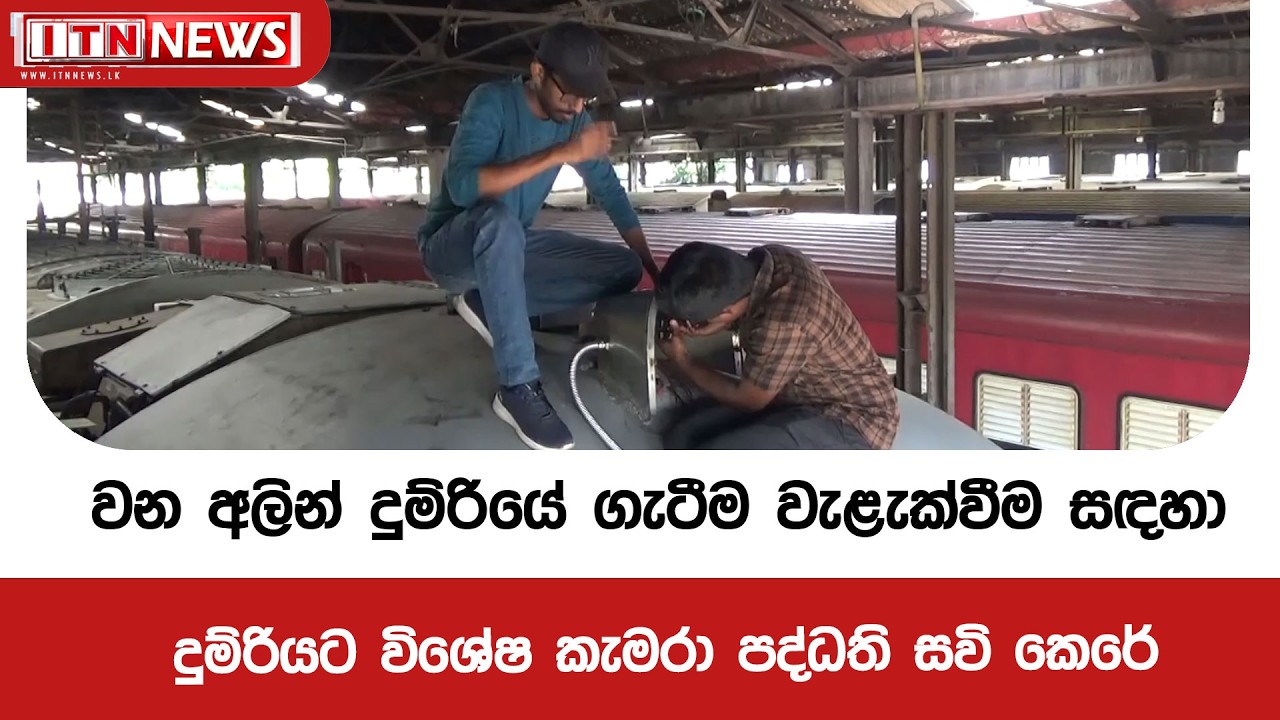 වන අලින් දුම්රියේ ගැටීම වැළැක්වීම සඳහා දුම්රියට විශේෂ කැමරා පද්ධති සවි කෙරේ