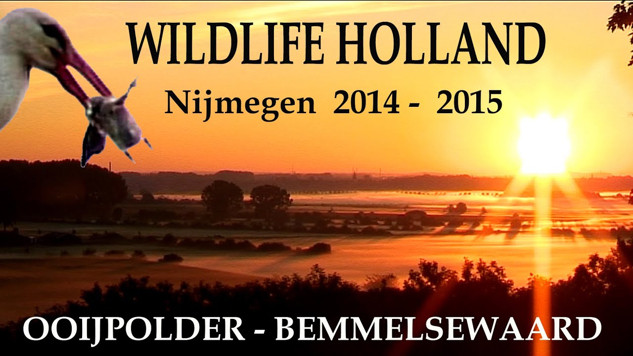 WILDLIFE HOLLAND 1 - Ooijpolder & Bemmelse Waard 2014 - 2015 - JEROWORLD
