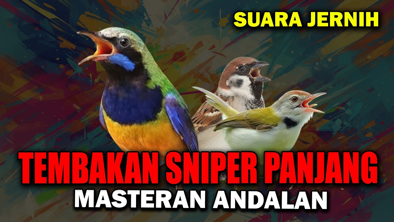 MASTERAN ANDALAN TEMBAKAN PANJANG CUCAK CUNGKOK GEREJA TARUNG PRENJAK TIR