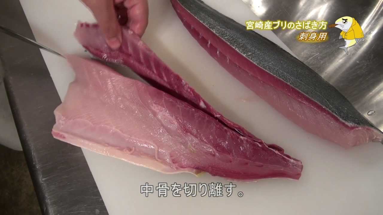 ブリの捌き方～刺身用～