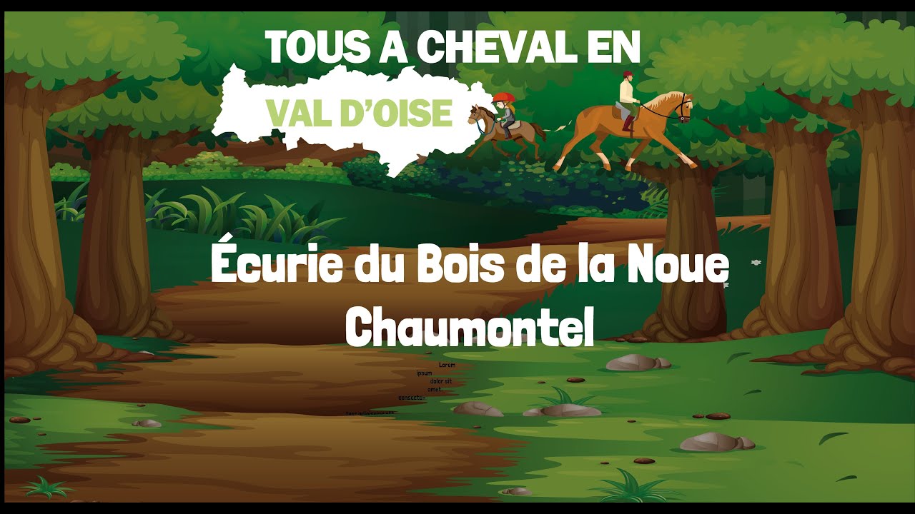 Écurie du Bois de la Noue - Chaumontel