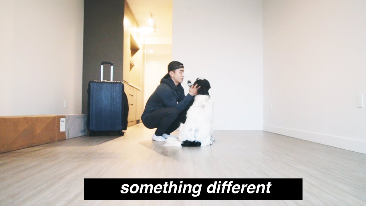 homebody vlog: moving from edmonton to vancouver