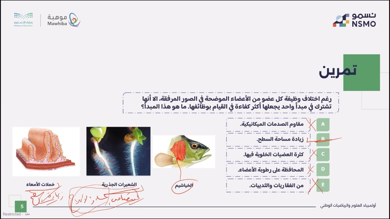 تحديات حقيبة المرحلة الاولى
