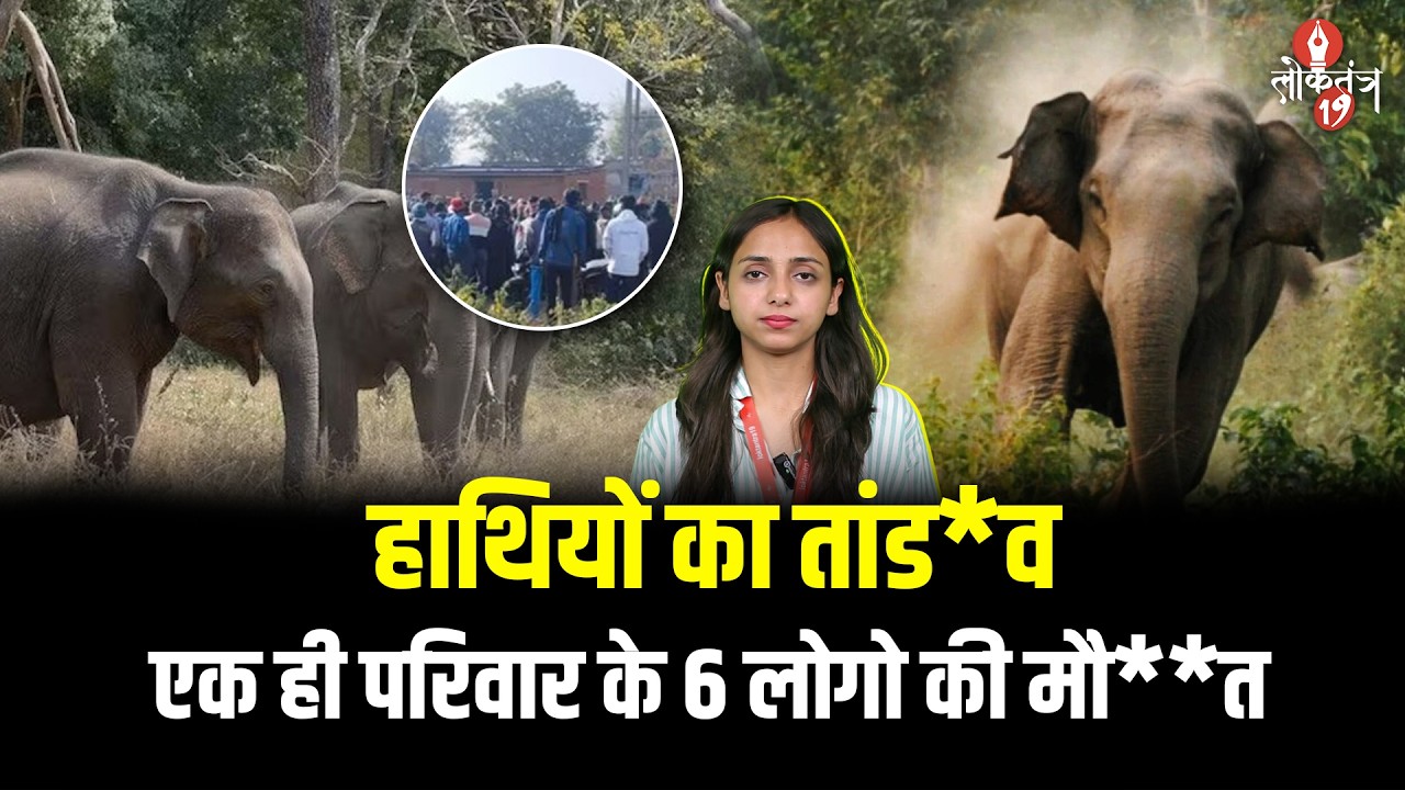 हजारीबाग में हाथियों का तां*डव एक ही परिवार के चार समेत छह की मौ**त