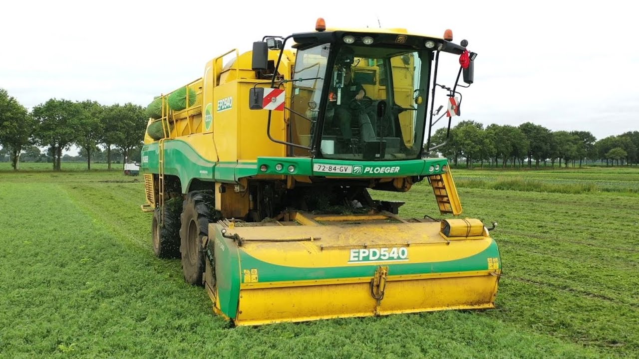 Doperwten oogst 2022 voor Schoorlemmer Landbouw B.V. in samenwerking met Taco Agro.